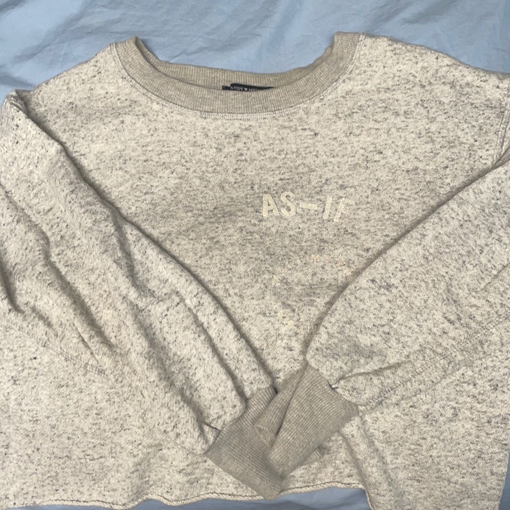 Brandy Melville “AS-IF” cropped sweatshirt